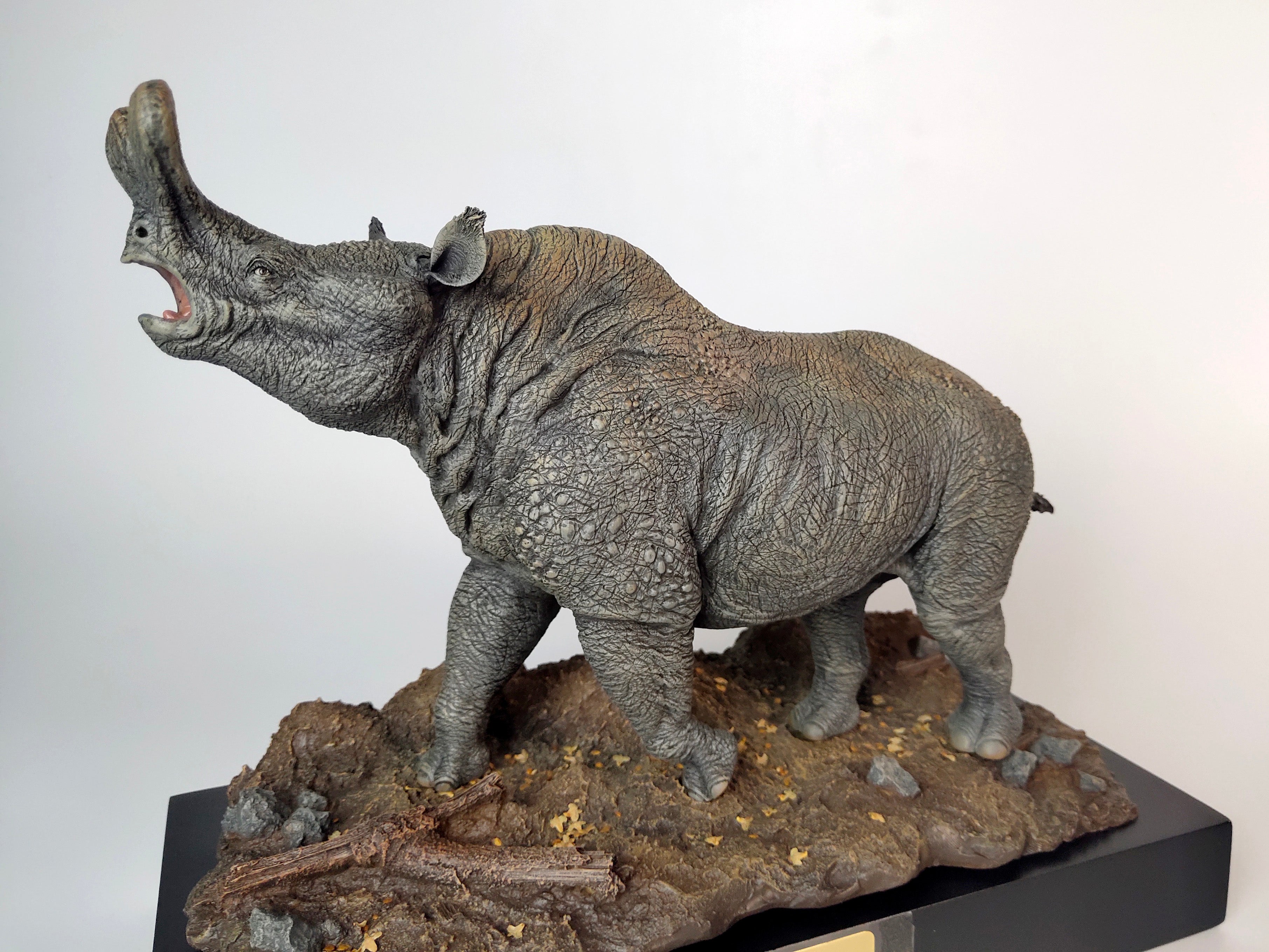 MuSee Brontotherium Titanotheriidae Palaeotherium GK Statue
