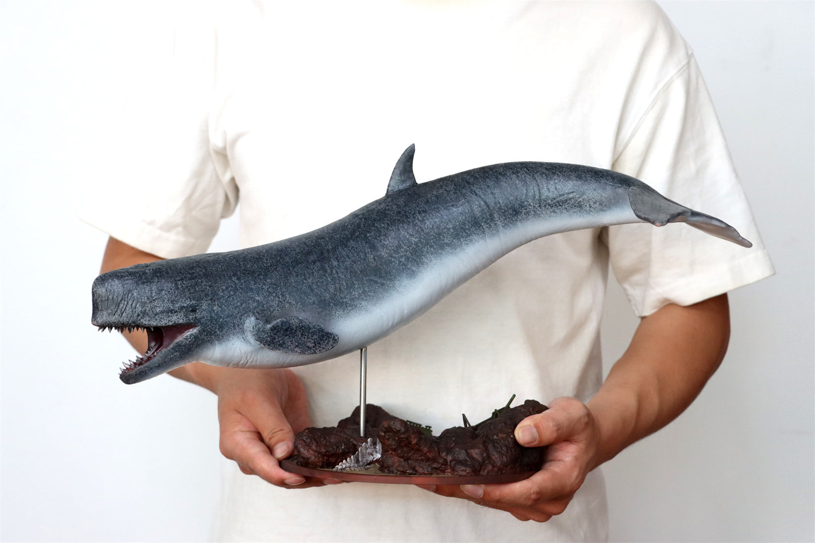 Livyatan melvillei Statue