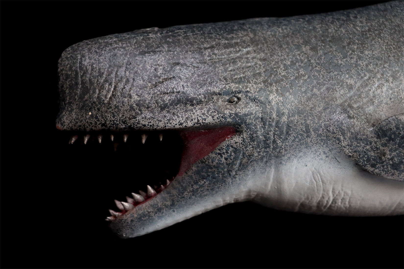 Livyatan melvillei Statue