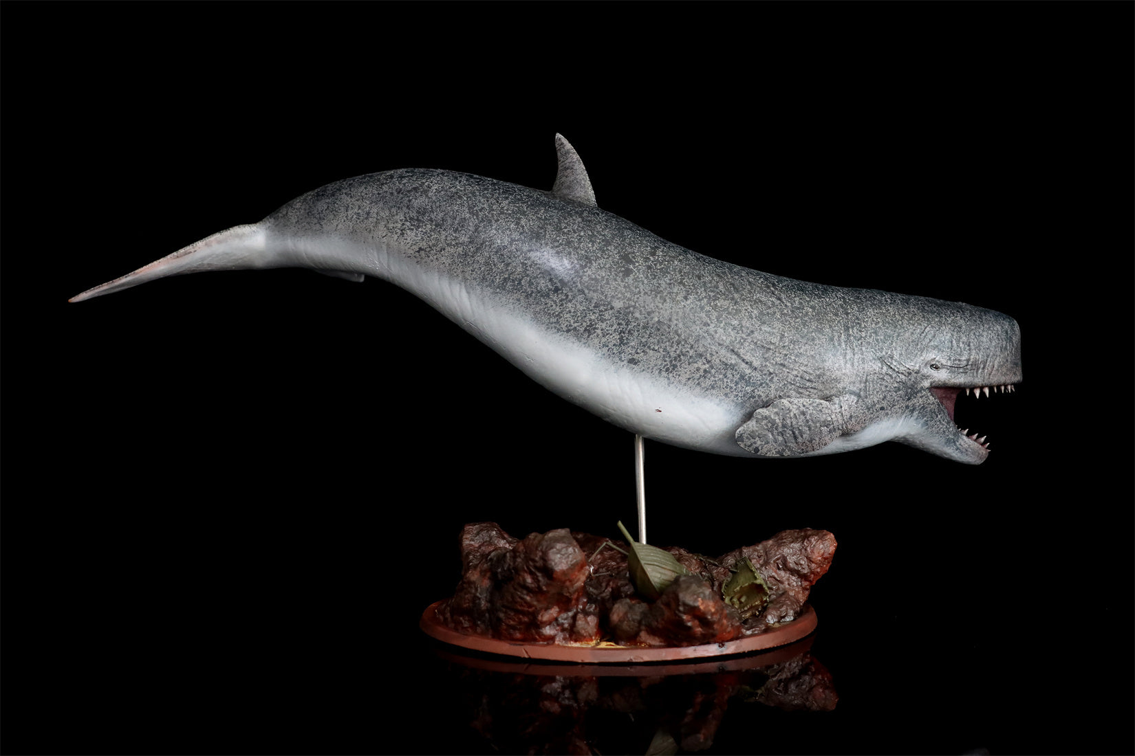 Livyatan melvillei Statue