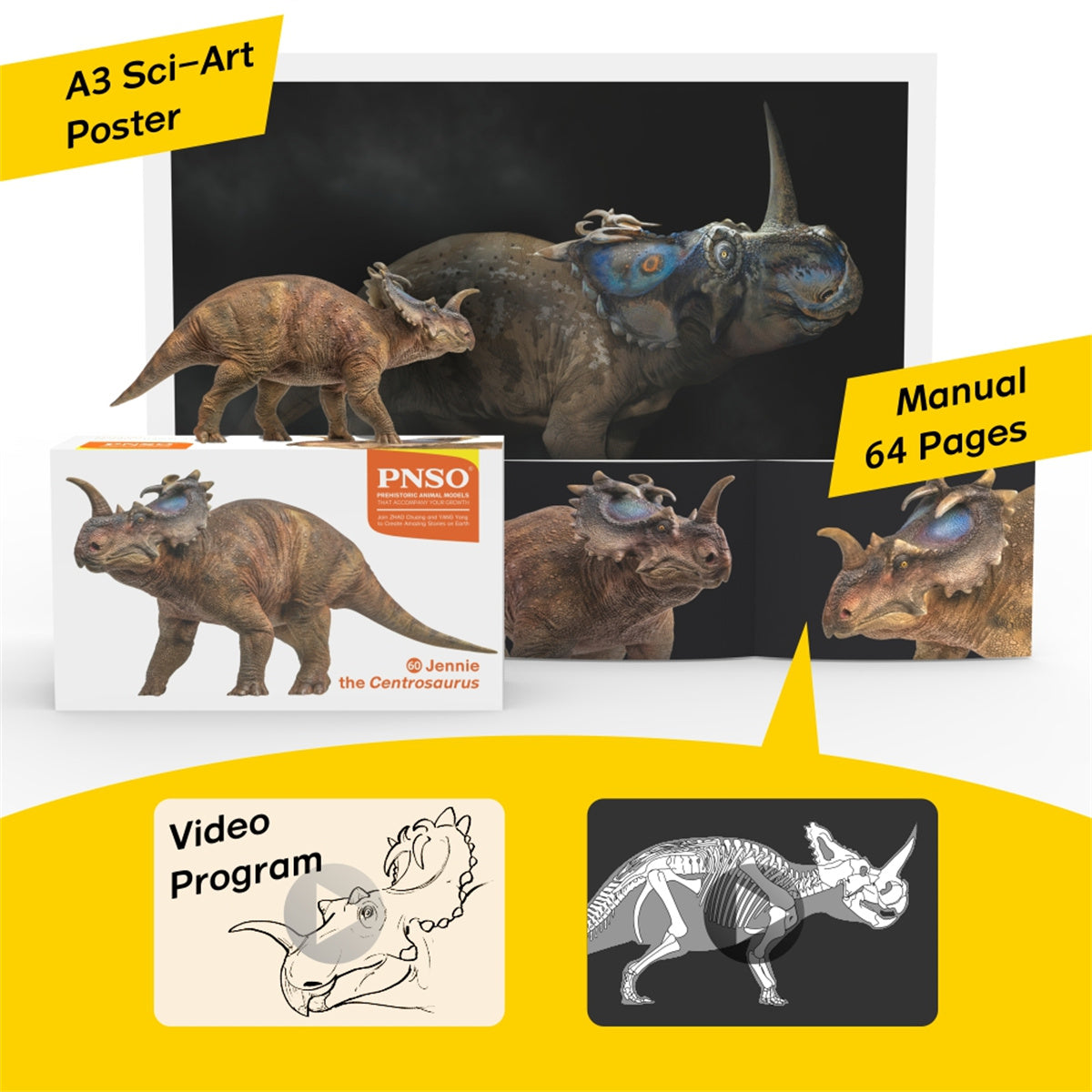 PNSO Centrosaurus Jennie Model