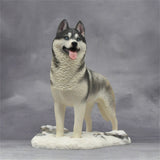 1/6 Siberian Husky Model