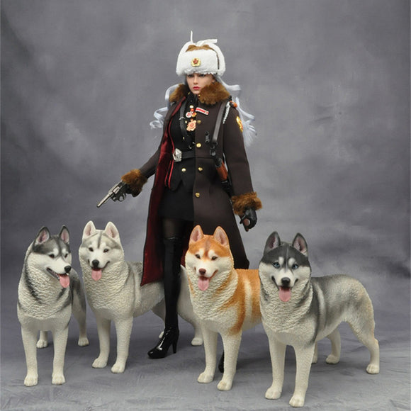 1/6 Siberian Husky Model