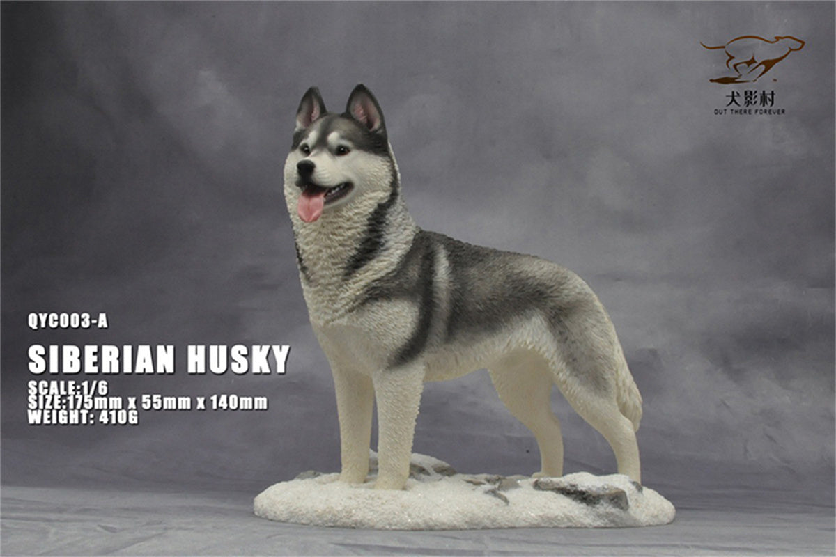 1/6 Siberian Husky Model
