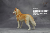 1/6 Siberian Husky Model