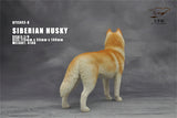 1/6 Siberian Husky Model