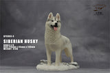 1/6 Siberian Husky Model