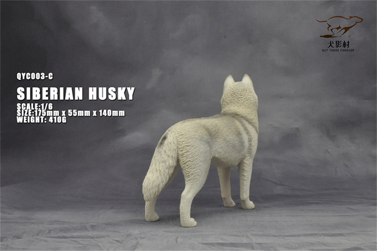 1/6 Siberian Husky Model