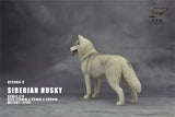 1/6 Siberian Husky Model