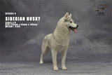 1/6 Siberian Husky Model