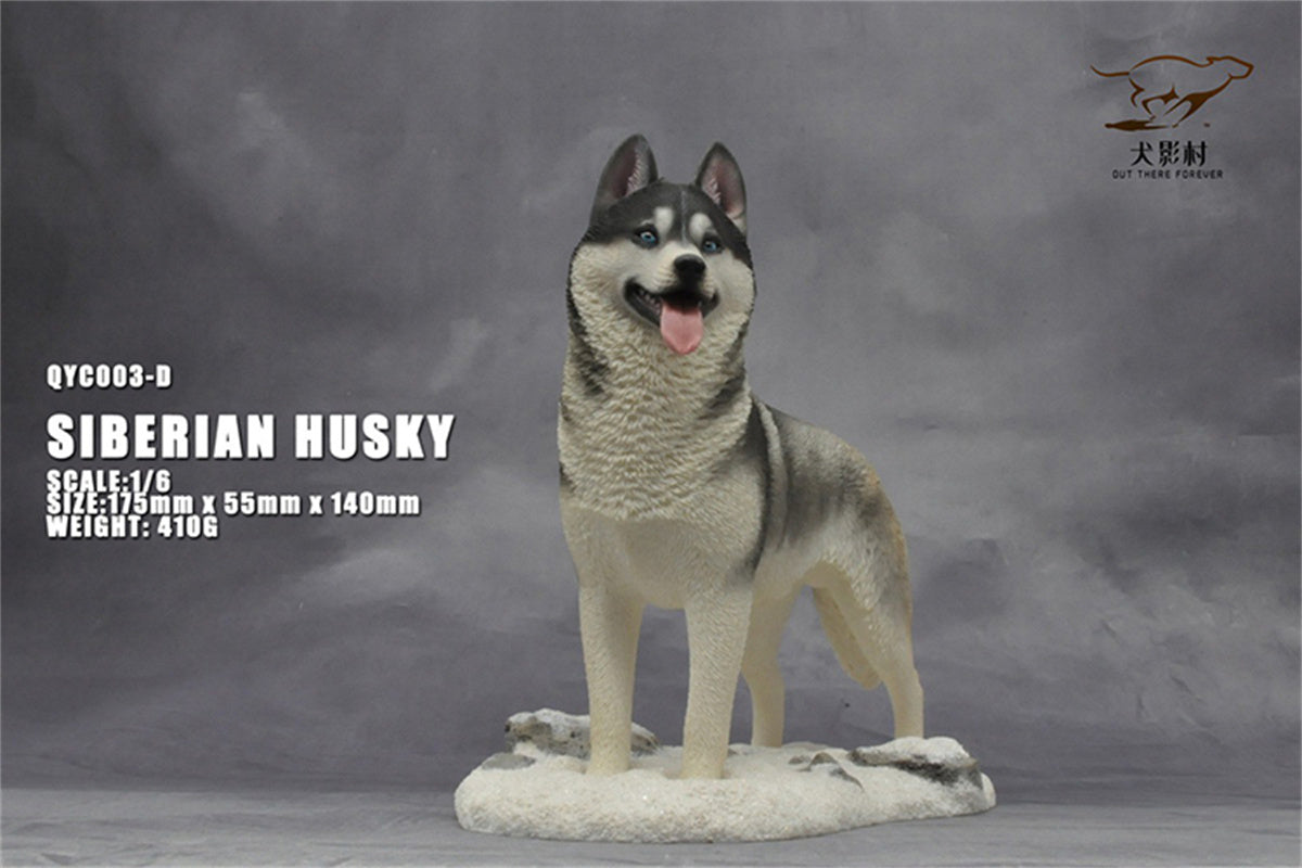 1/6 Siberian Husky Model