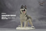 1/6 Siberian Husky Model