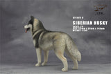 1/6 Siberian Husky Model