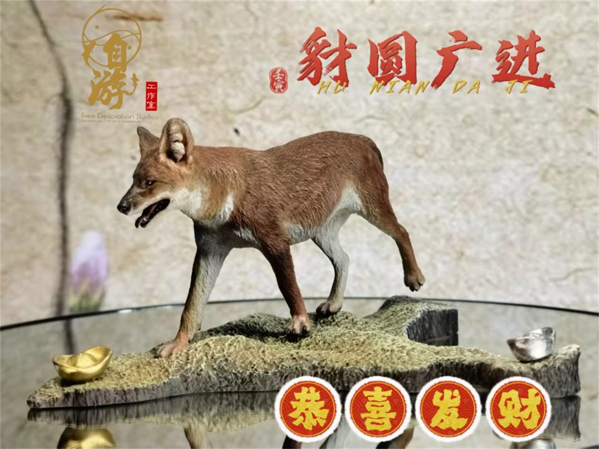 Chinese Dhole and Indian Dhole Model
