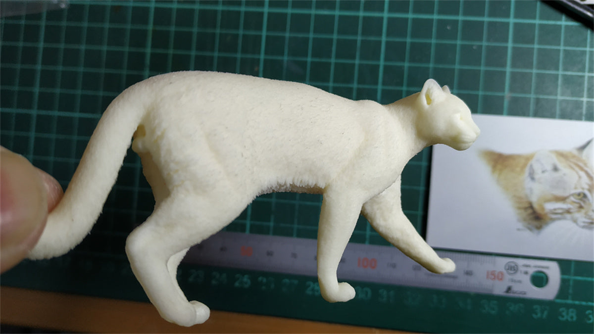 Asiatic Golden Cat Model