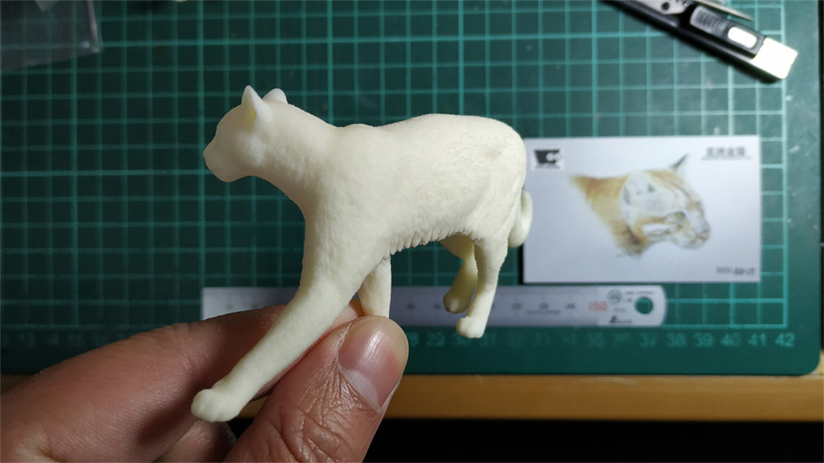 Asiatic Golden Cat Model