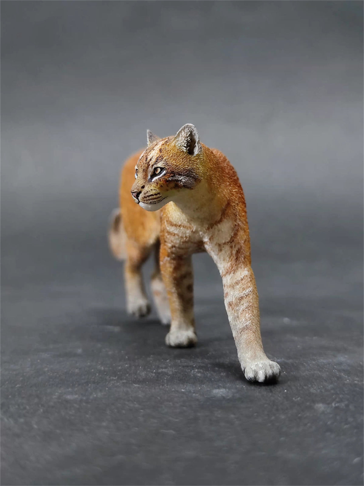 Asiatic Golden Cat Model