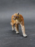 Asiatic Golden Cat Model