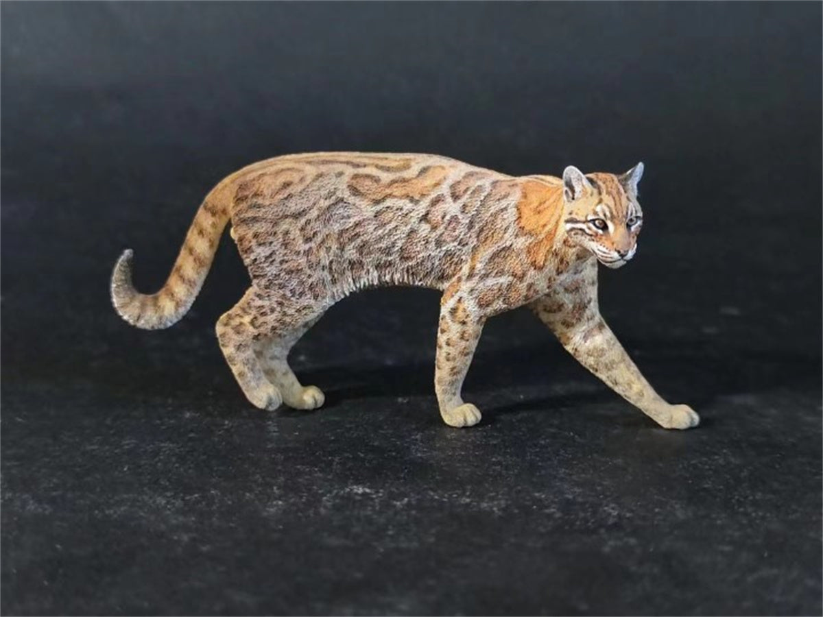 Asiatic Golden Cat Model