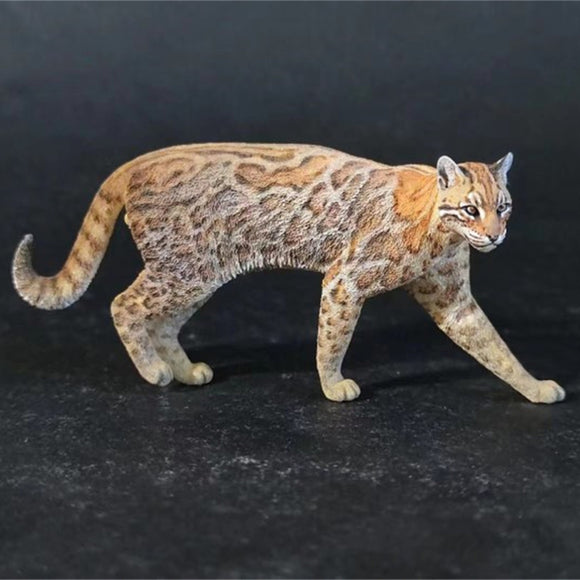 Asiatic Golden Cat Model