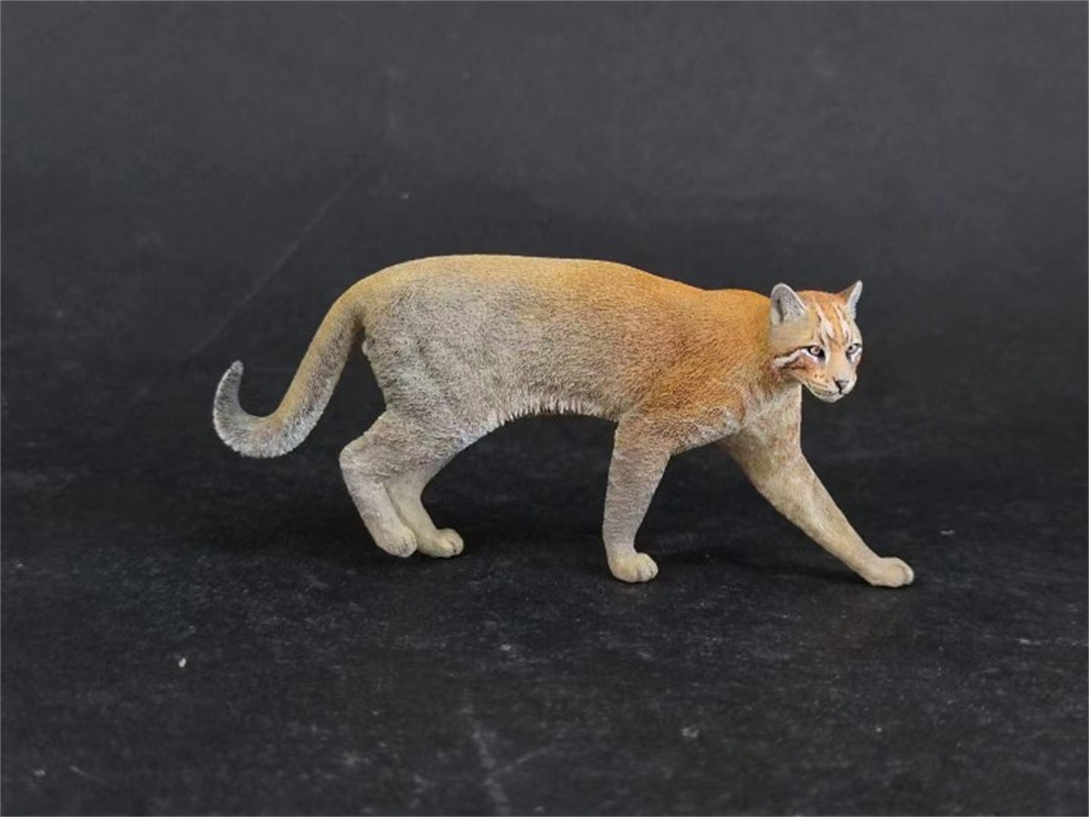 Asiatic Golden Cat Model