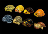 Blind Box Turtle Model