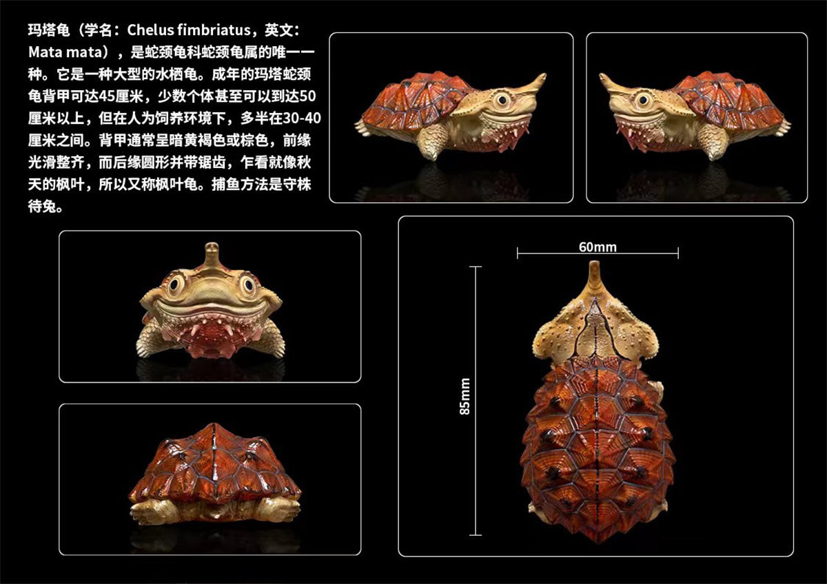 Blind Box Turtle Model