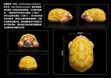 Blind Box Turtle Model