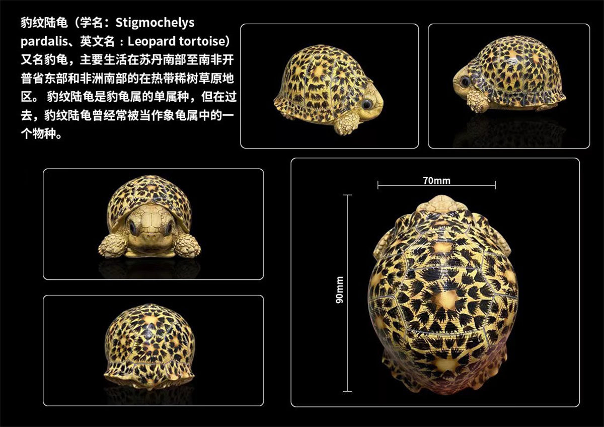 Blind Box Turtle Model