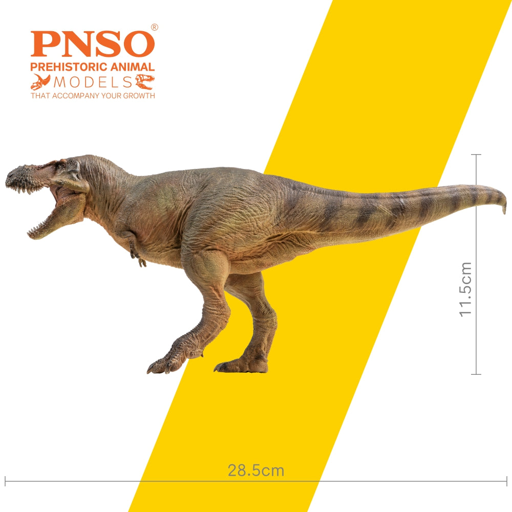 PNSO Luxiong Zhuchengtyrannus Model