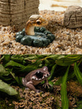 Amphibian Reptile Blind Box Model