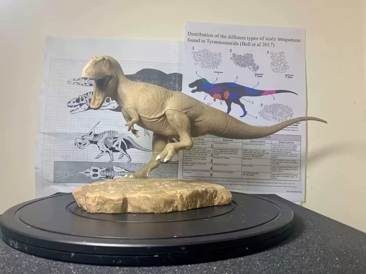 1/20 Scale Daspletosaurus Statue Kit