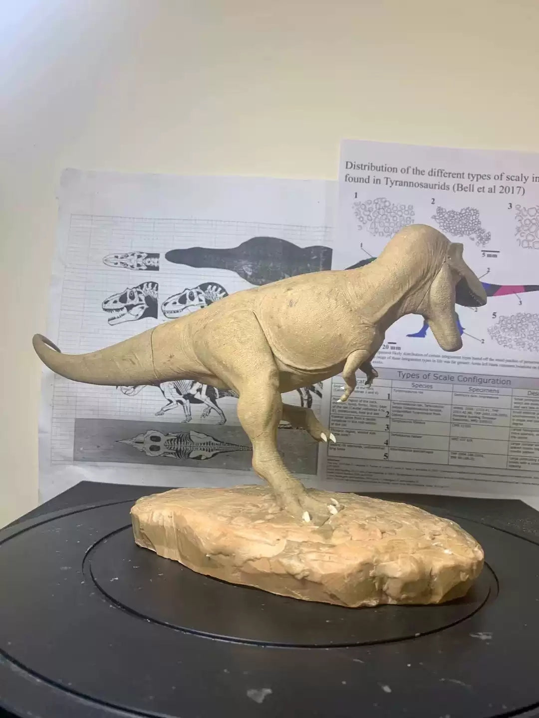 1/20 Scale Daspletosaurus Statue Kit