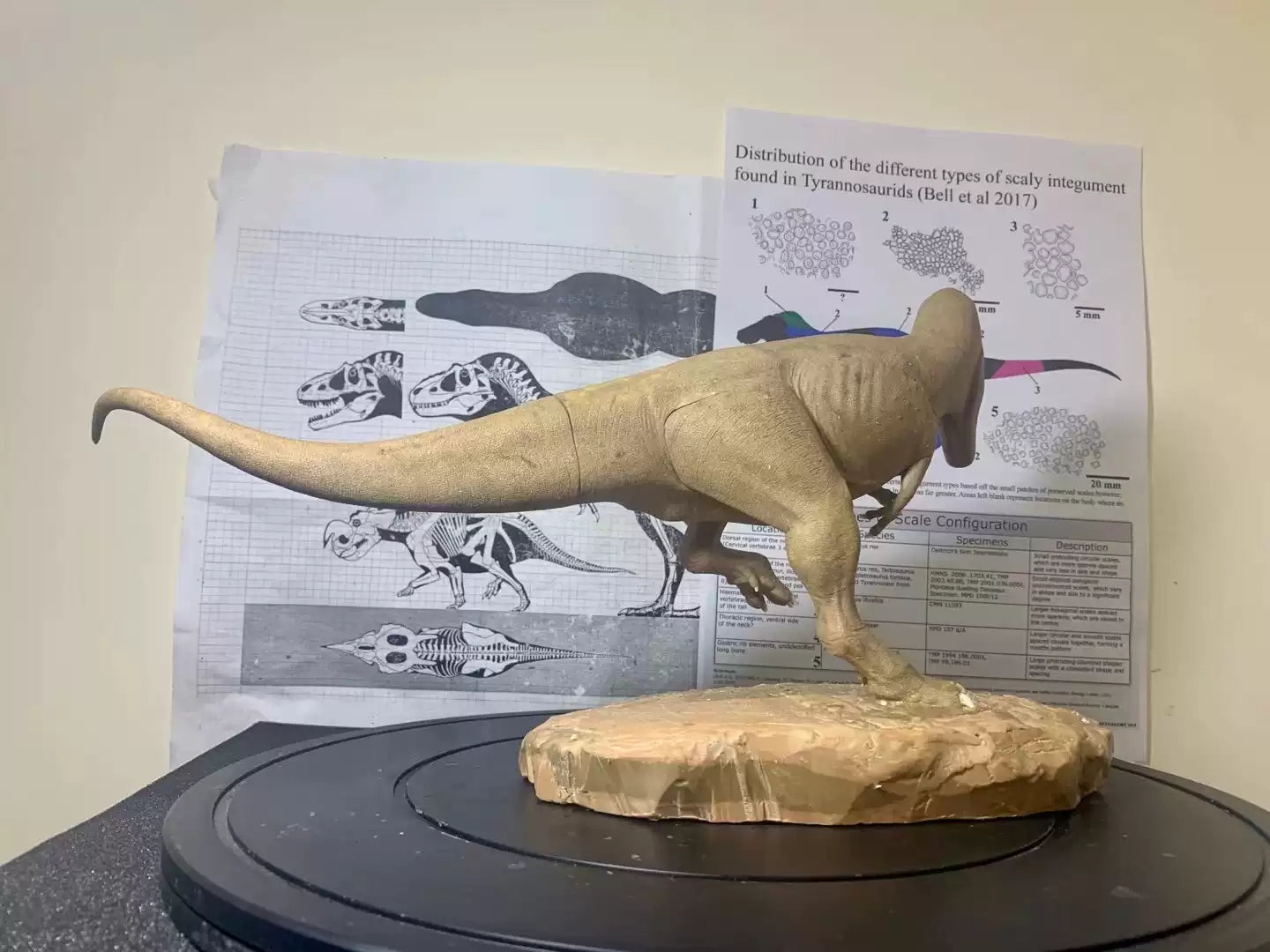 1/20 Scale Daspletosaurus Statue Kit