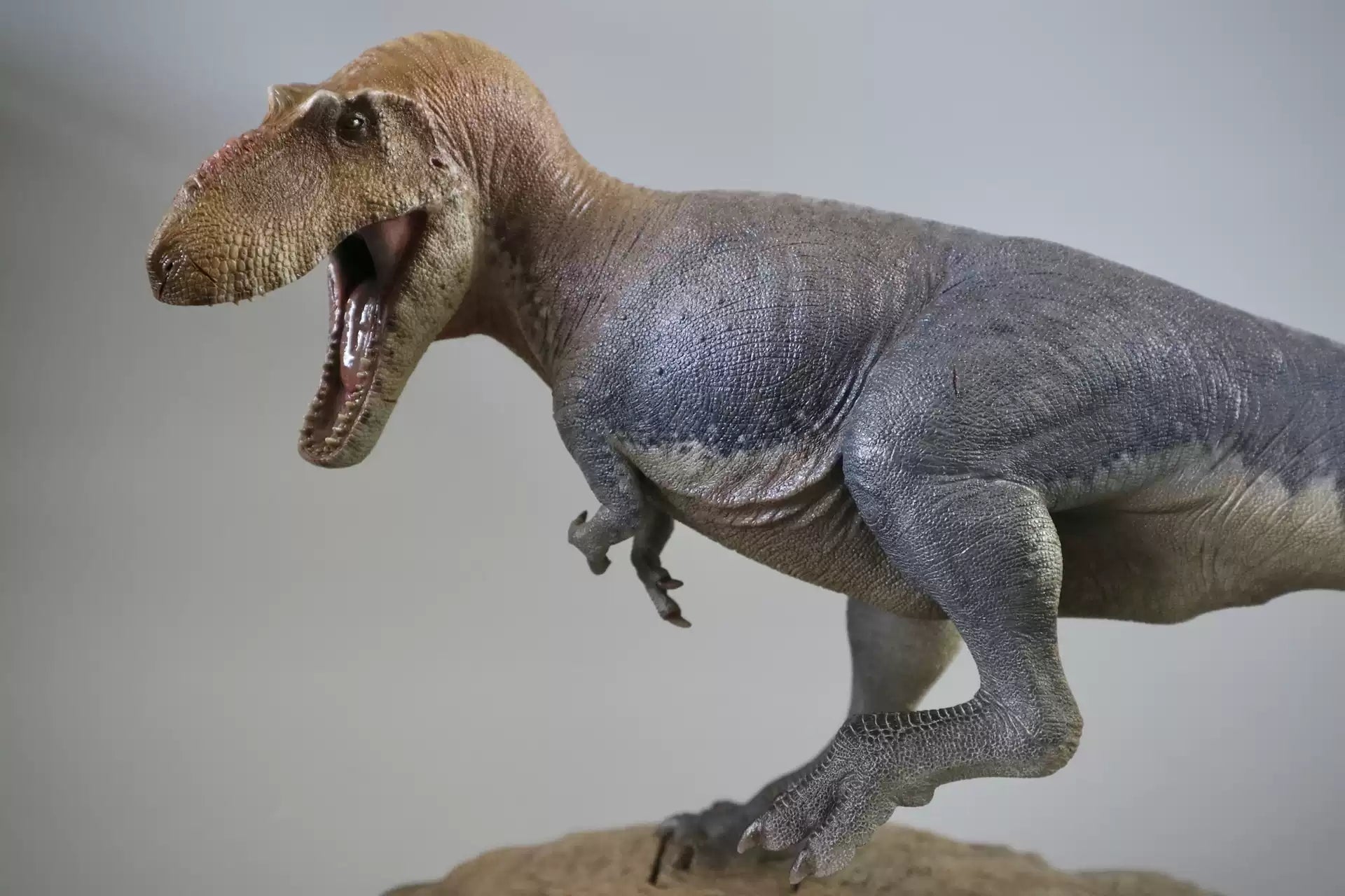 1/20 Scale Daspletosaurus Statue Kit