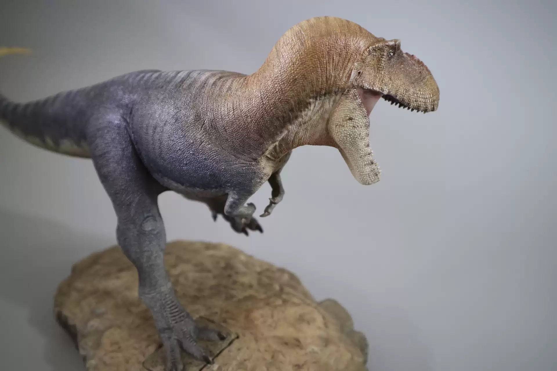 1/20 Scale Daspletosaurus Statue Kit