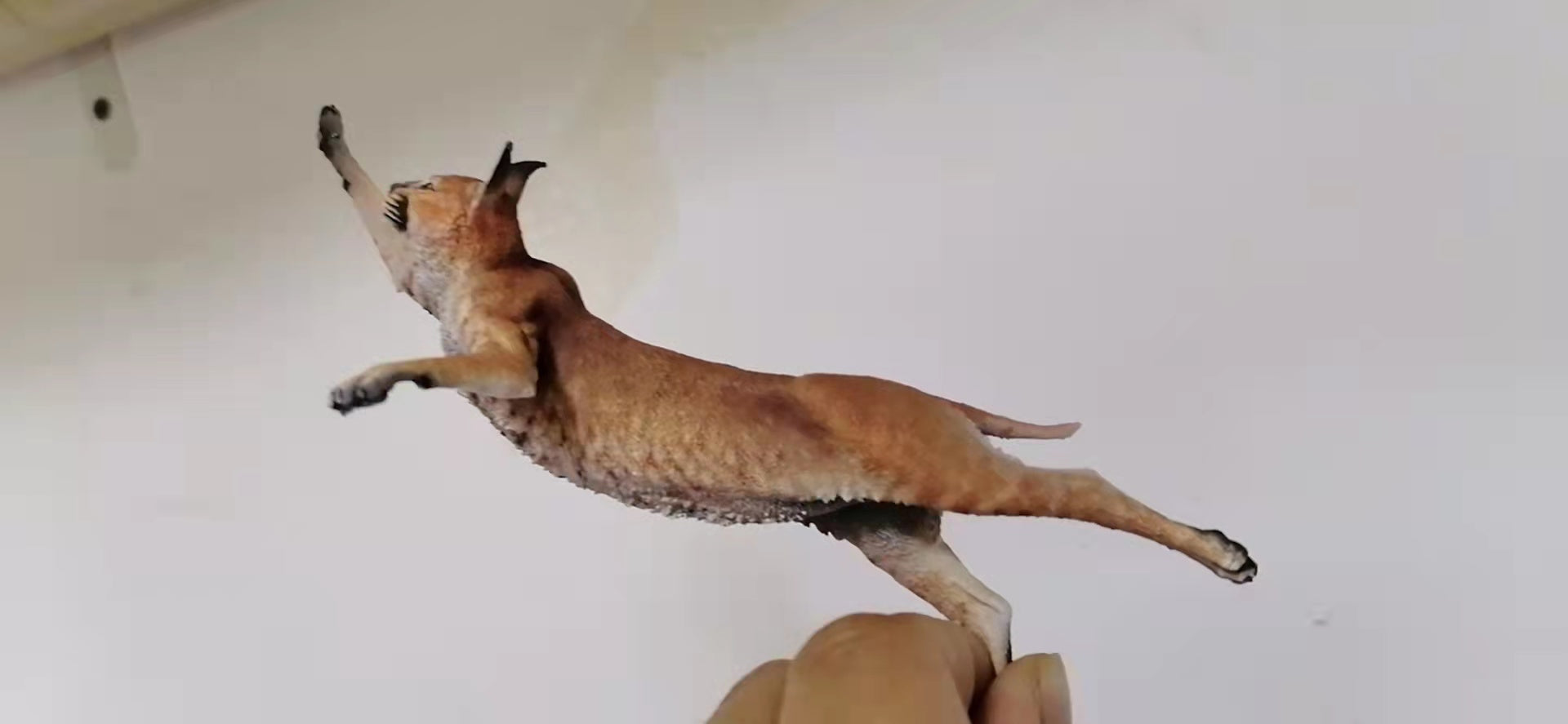 Caracal Cat Prey Partridge Scene Model