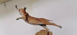 Caracal Cat Prey Partridge Scene Model