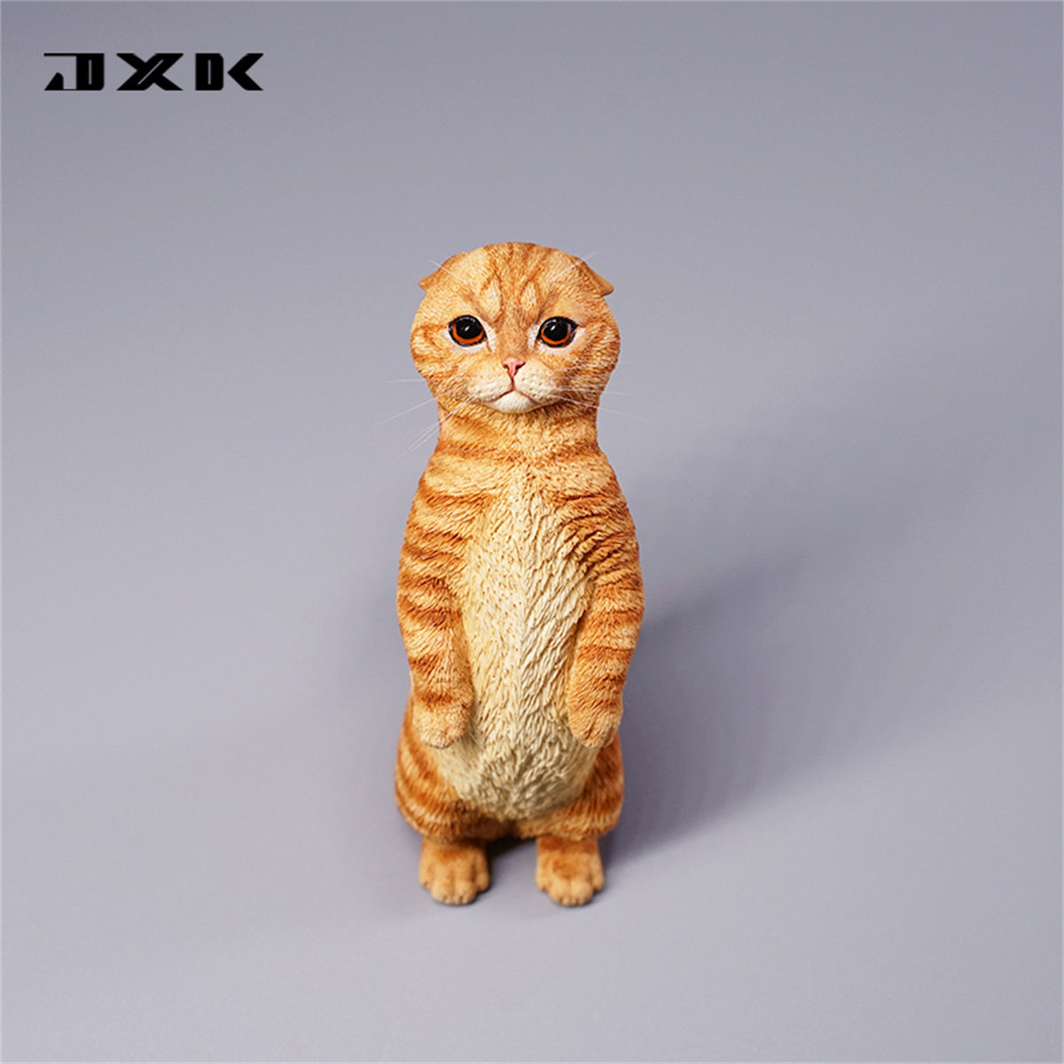 JXK 1/6 Scottish Fold Model