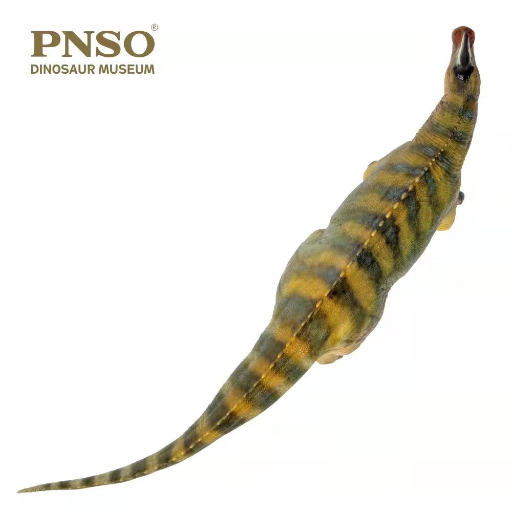 PNSO 1:35 Tsintaosaurus XiaoQin Model