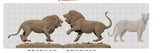 WS Studio Male Lion Fight Scene Statue