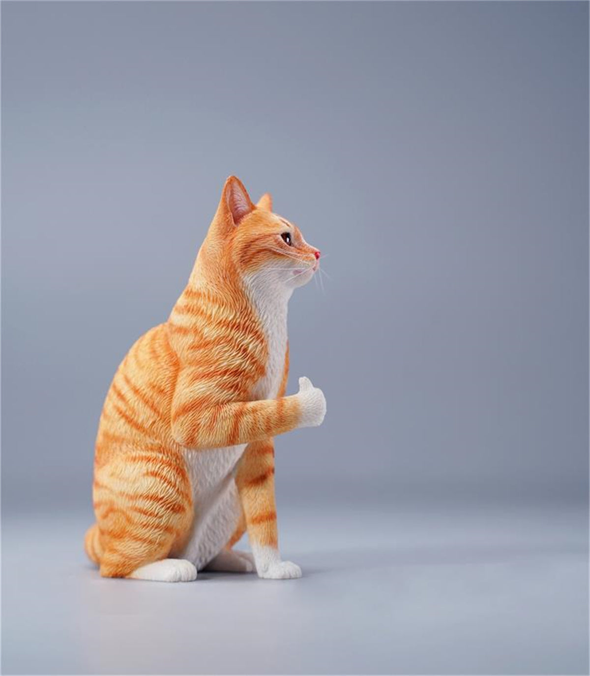 JXK 1/6 Thumb Up Cat Model