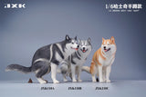 JXK 1/6 Siberian Husky Model