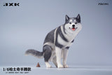 JXK 1/6 Siberian Husky Model