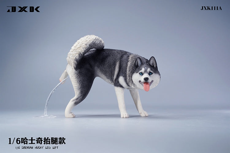 JXK 1/6 Siberian Husky Model