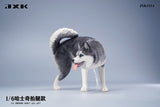 JXK 1/6 Siberian Husky Model