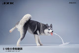 JXK 1/6 Siberian Husky Model