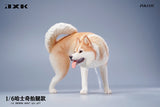 JXK 1/6 Siberian Husky Model