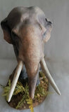 LaiZang Studio Asian Elephant Scene Model Painted Version