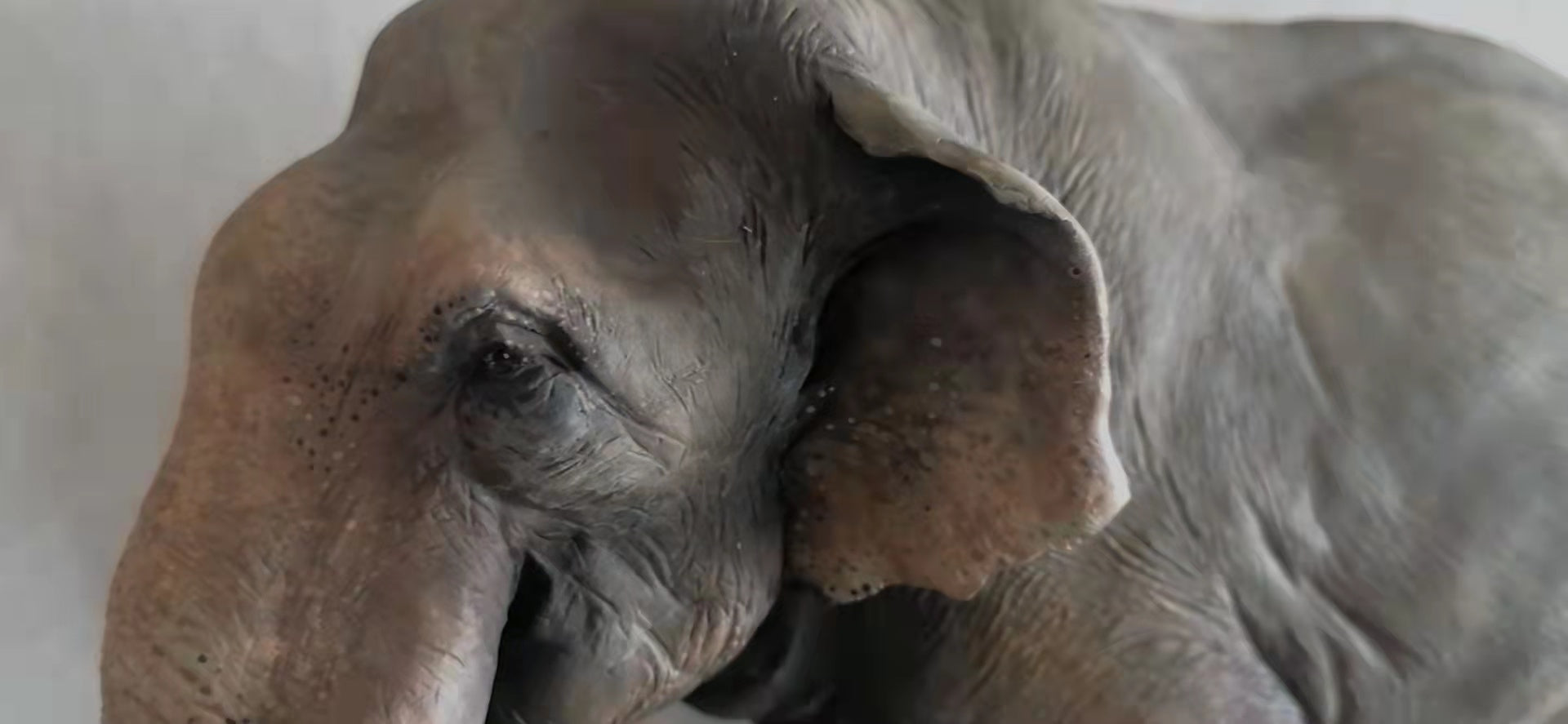 LaiZang Studio Asian Elephant Scene Model Painted Version